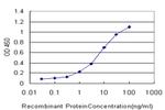 DUSP5 Antibody in ELISA (ELISA)