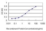 DUSP6 Antibody in ELISA (ELISA)