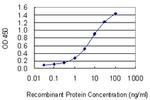 E2F3 Antibody in ELISA (ELISA)