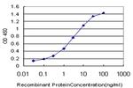 E2F4 Antibody in ELISA (ELISA)