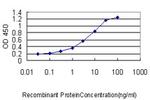 E2F6 Antibody in ELISA (ELISA)