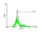 EDG3 Antibody in Flow Cytometry (Flow)