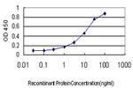 EDN3 Antibody in ELISA (ELISA)