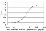 EDNRA Antibody in ELISA (ELISA)