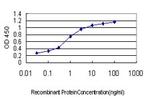 EFNA5 Antibody in ELISA (ELISA)