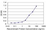 EGR1 Antibody in ELISA (ELISA)