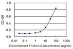 EIF2S3 Antibody in ELISA (ELISA)