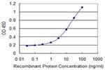 EIF2S3 Antibody in ELISA (ELISA)