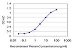 EIF4G1 Antibody in ELISA (ELISA)