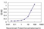 ELA2 Antibody in ELISA (ELISA)