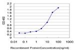 ELA2 Antibody in ELISA (ELISA)