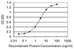 ELAVL1 Antibody in ELISA (ELISA)