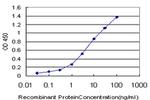 ELF3 Antibody in ELISA (ELISA)