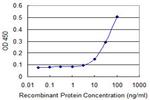 ELF5 Antibody in ELISA (ELISA)