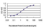 EMD Antibody in ELISA (ELISA)