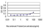 ENO1 Antibody in ELISA (ELISA)