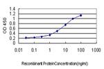 ENO2 Antibody in ELISA (ELISA)