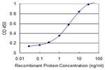 ENO2 Antibody in ELISA (ELISA)