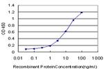 EPHA3 Antibody in ELISA (ELISA)