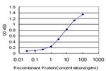 EPHB3 Antibody in ELISA (ELISA)