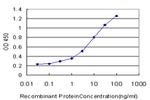 EPHB6 Antibody in ELISA (ELISA)