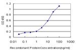 ERBB3 Antibody in ELISA (ELISA)