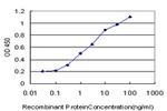 ERCC1 Antibody in ELISA (ELISA)