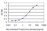 ERH Antibody in ELISA (ELISA)