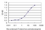 FBL Antibody in ELISA (ELISA)