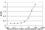 ETF1 Antibody in ELISA (ELISA)