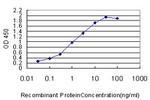 ETV5 Antibody in ELISA (ELISA)