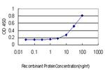 F11 Antibody in ELISA (ELISA)