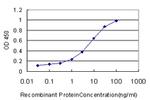 FABP1 Antibody in ELISA (ELISA)