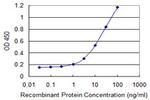 FBN1 Antibody in ELISA (ELISA)