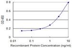 FDX1 Antibody in ELISA (ELISA)