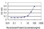 FGF1 Antibody in ELISA (ELISA)