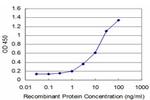 FGF8 Antibody in ELISA (ELISA)