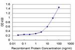 FGF8 Antibody in ELISA (ELISA)