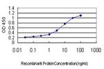 FGFR2 Antibody in ELISA (ELISA)