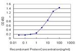 FHL1 Antibody in ELISA (ELISA)