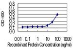 FKBP1A Antibody in ELISA (ELISA)