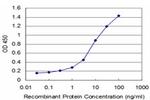 FOXF2 Antibody in ELISA (ELISA)