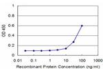 FOXF2 Antibody in ELISA (ELISA)