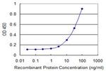 FOXC2 Antibody in ELISA (ELISA)