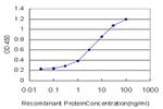 FOXO3A Antibody in ELISA (ELISA)