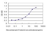 FOXO3A Antibody in ELISA (ELISA)