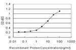 FOXO3A Antibody in ELISA (ELISA)