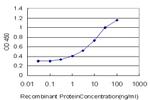 FOXO3A Antibody in ELISA (ELISA)