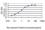 FLNA Antibody in ELISA (ELISA)