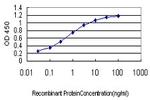 FLT4 Antibody in ELISA (ELISA)